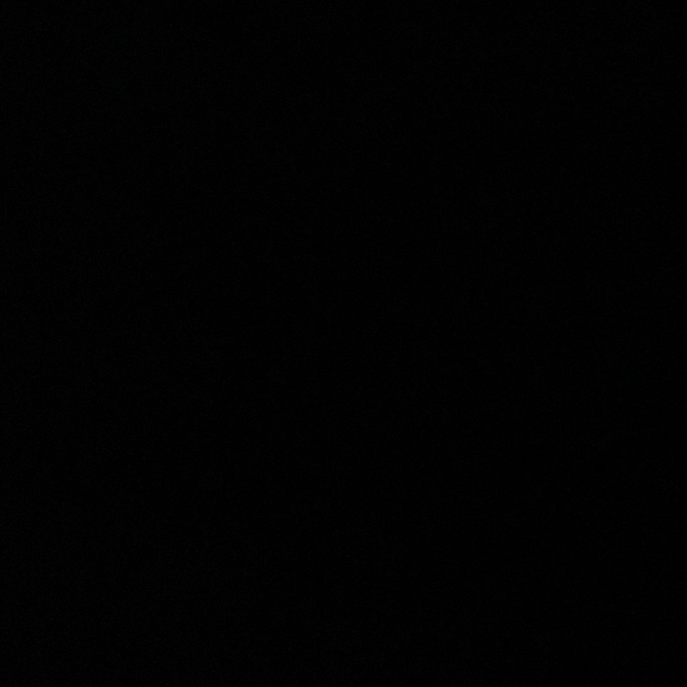 Meet your Posher, Sasha